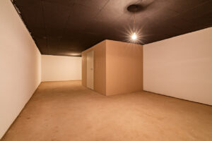 Großzügiger Kellerraum - visualisiert