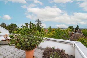 Ausblick Dachterrasse ins Grüne