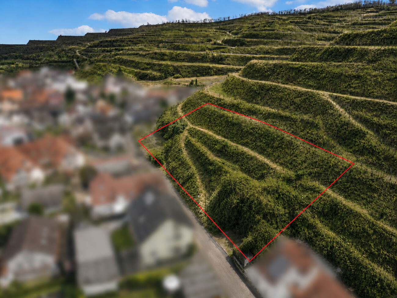 Seitenansicht - visualisert