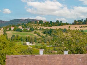 Burgblick