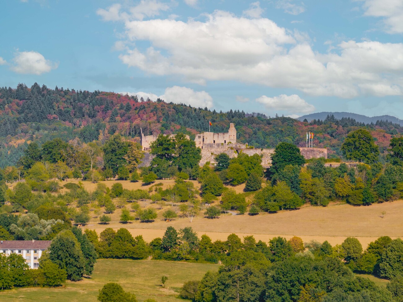 Burgblick